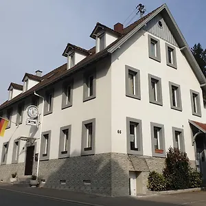 Penzion Garni Steinbacher Tal, Heidelberg